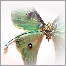 Fairy Wing Sheets, Cicada Wings, Dragonfly Wings